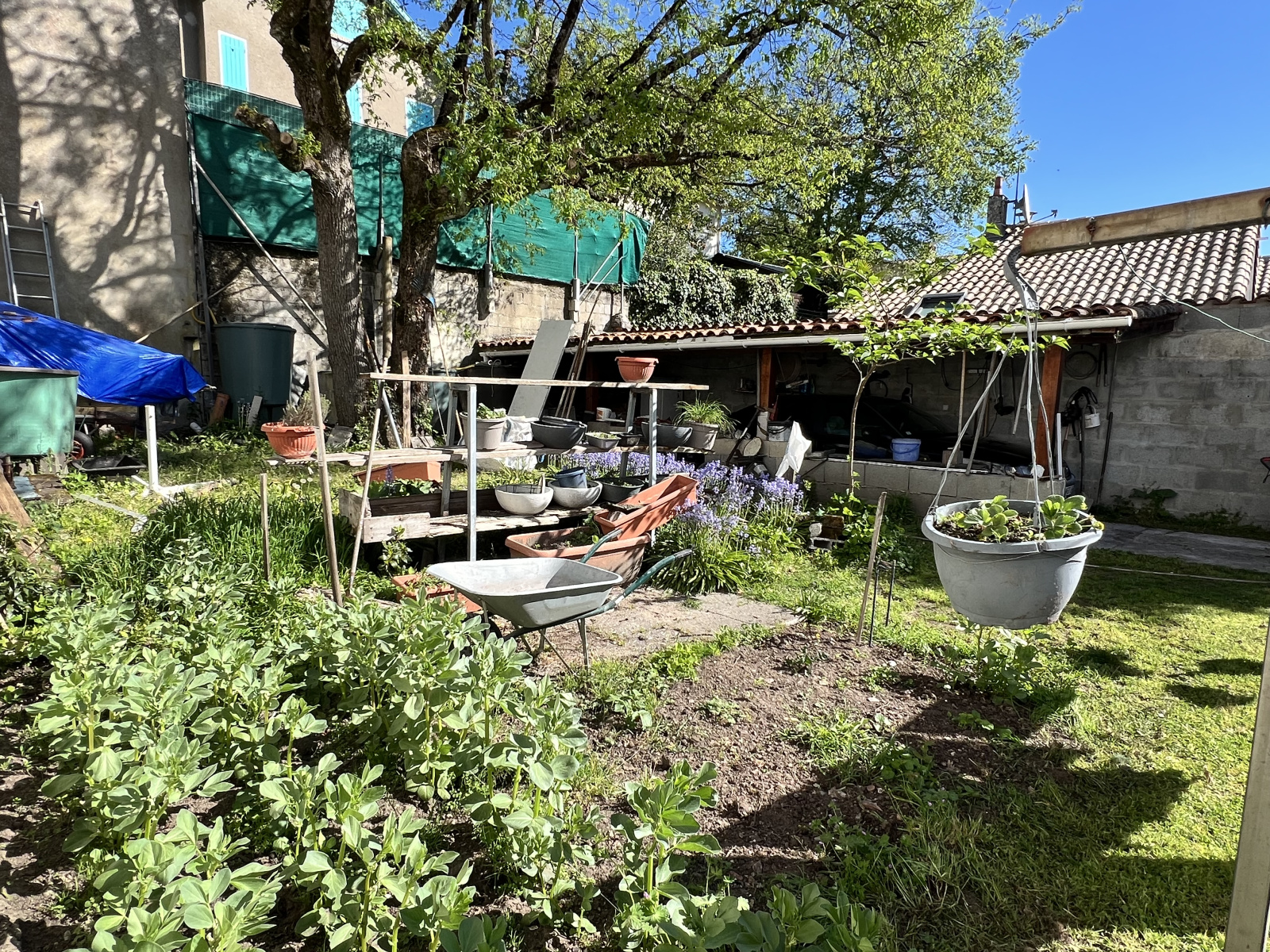 Image_6, Maison, Royan, ref :1580