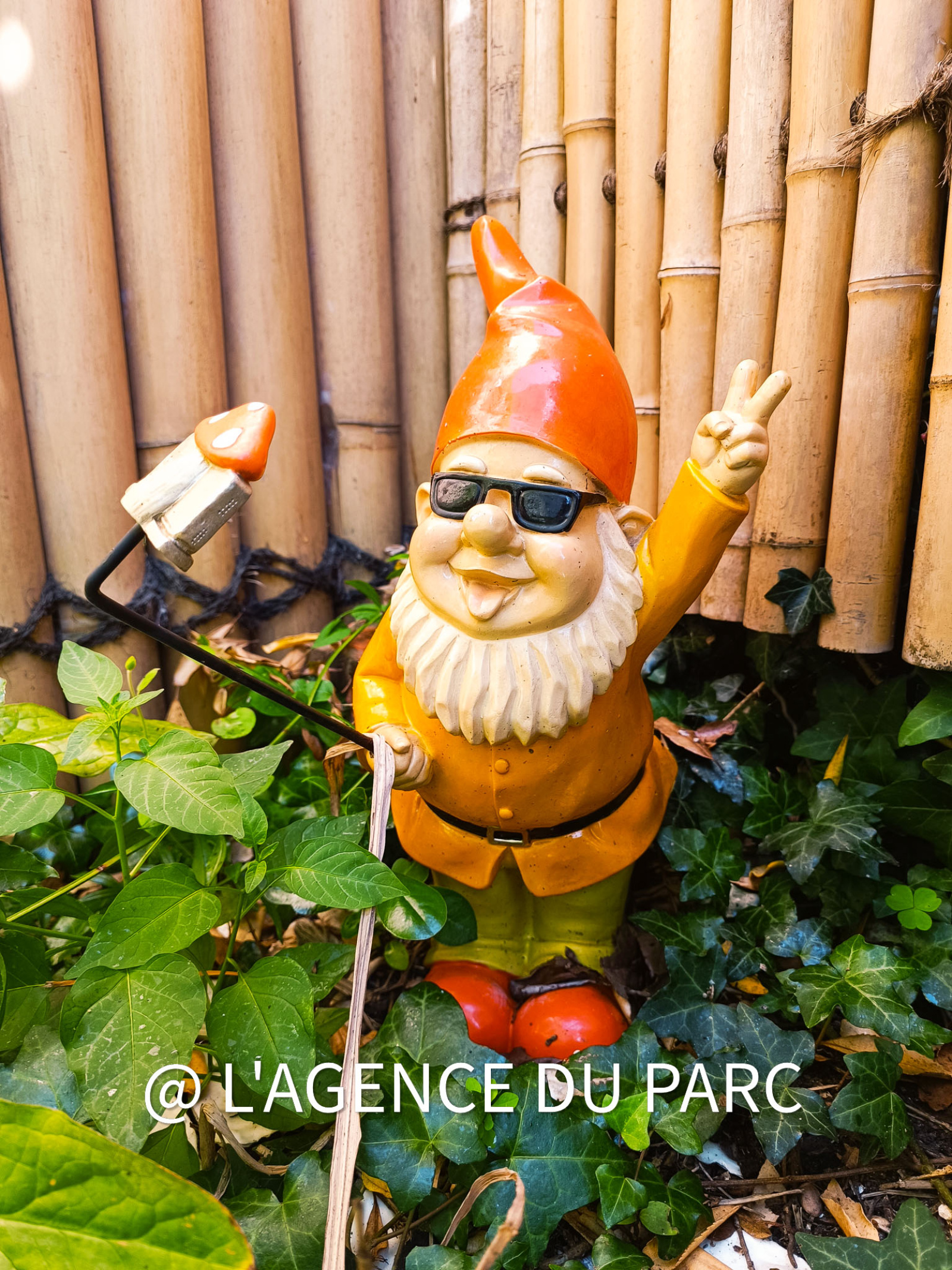 Image_14, Maison, Royan, ref :1403