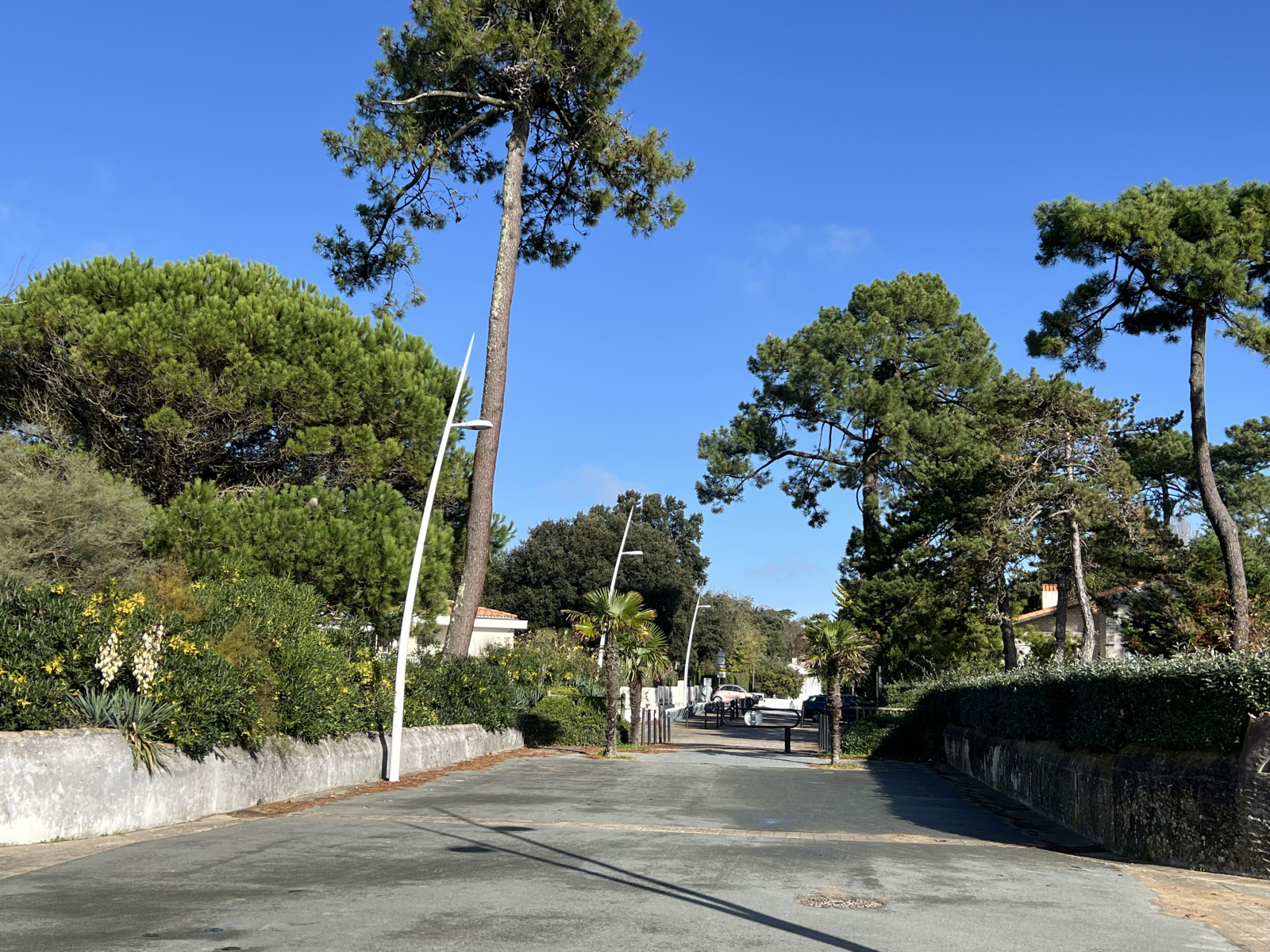 Image_19, Maison, Vaux-sur-Mer, ref :1545