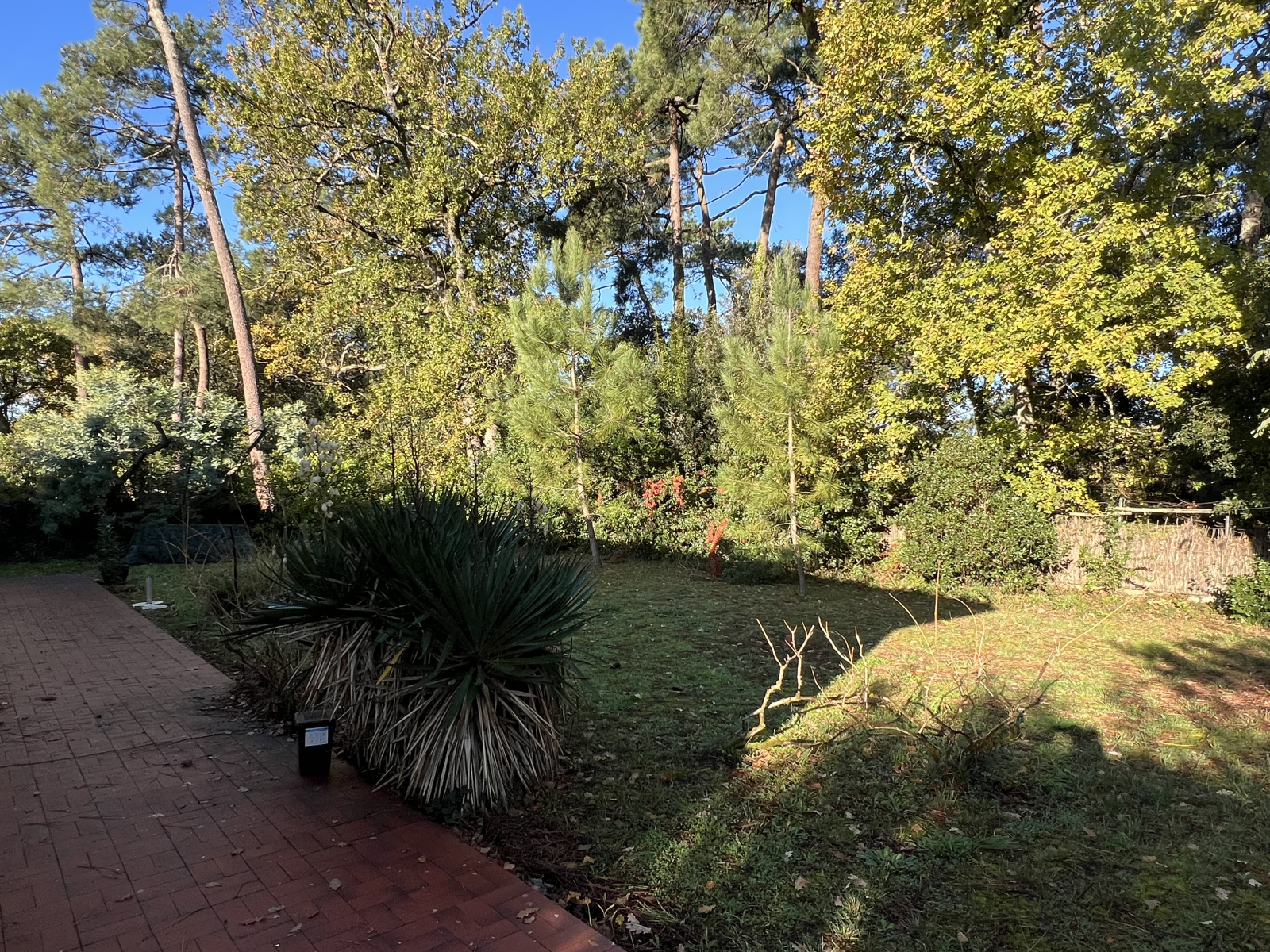 Image_10, Maison, Saint-Georges-de-Didonne, ref :1549