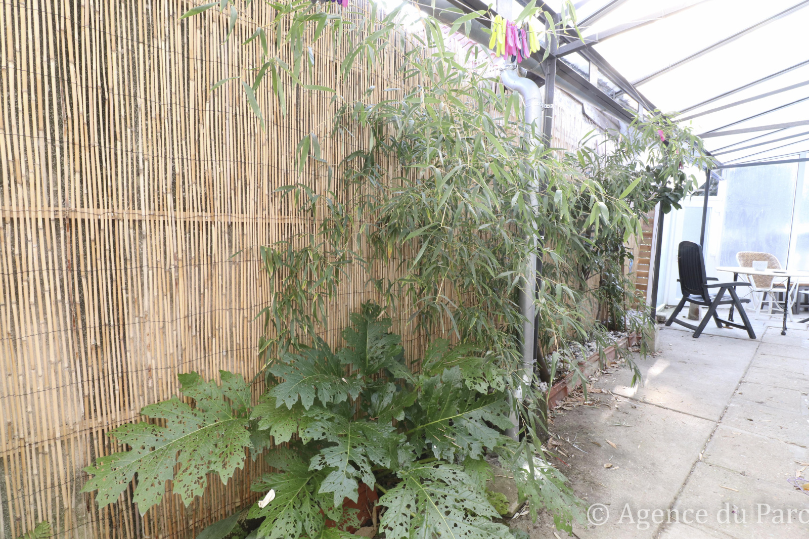 Image_6, Maison, Royan, ref :1335